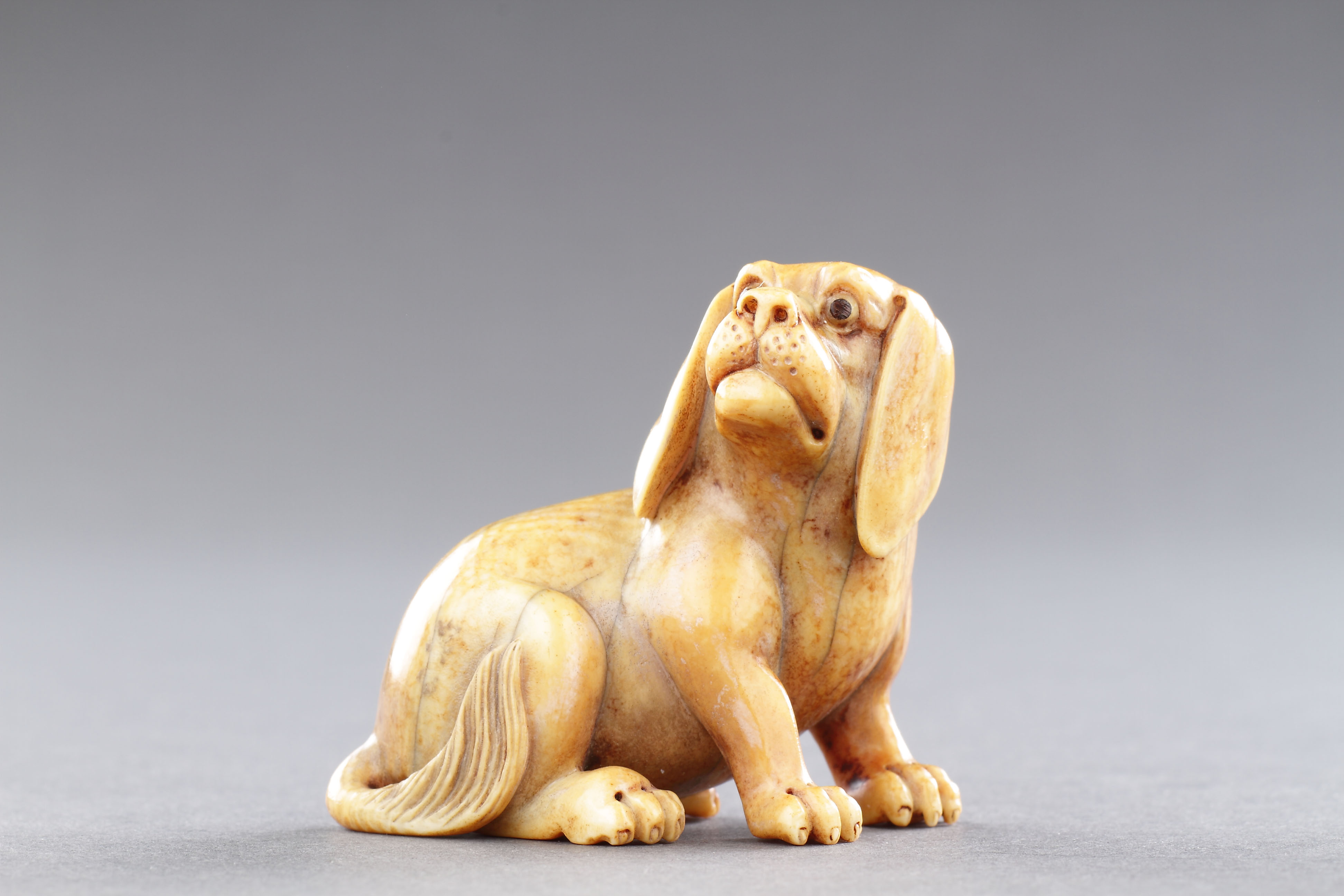 Chinese Carved Ivory Model of a Hunting Hound